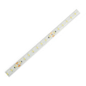 Strip led 12V – 12W/mt....