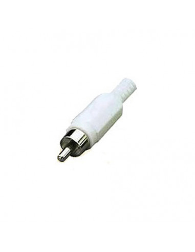 Spina RCA bianca