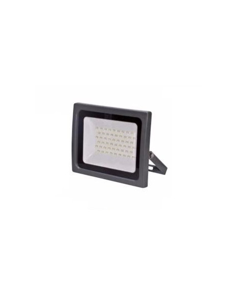 Faro led 50W b.co freddo