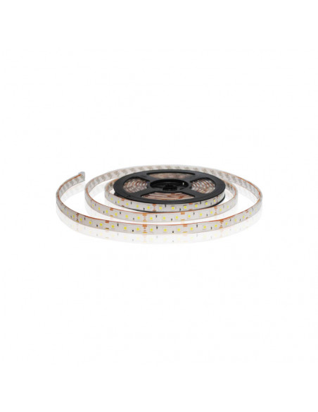 Strip led serie Easy 12V – 24W b.co freddo (300lm/mt.)