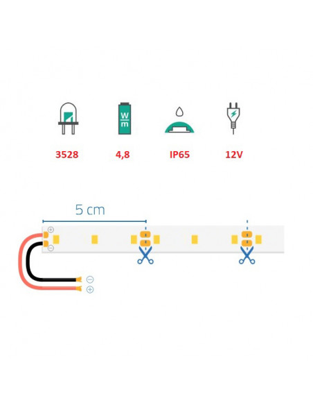 Strip led serie Easy 12V – 24W b.co freddo (300lm/mt.)